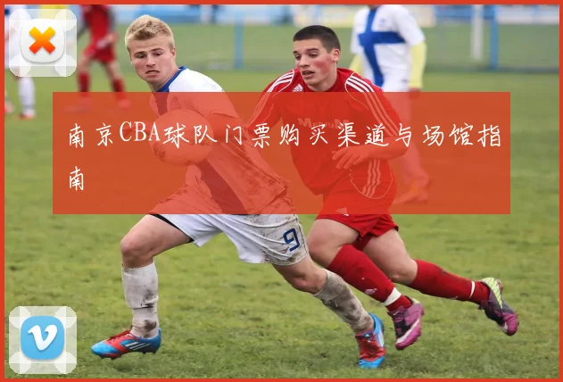 南京CBA球队门票购买渠道与场馆指南